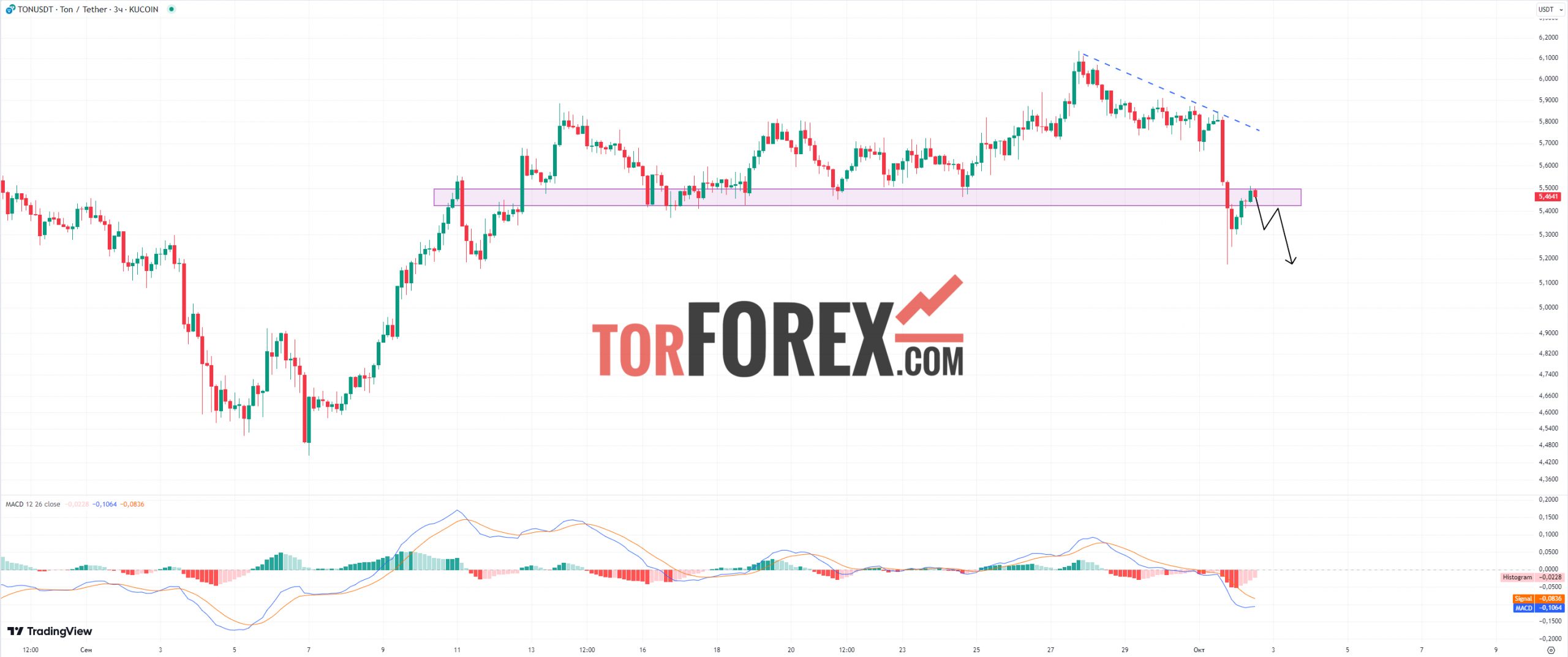 Toncoin прогноз TON/USD на 2 октября 2024