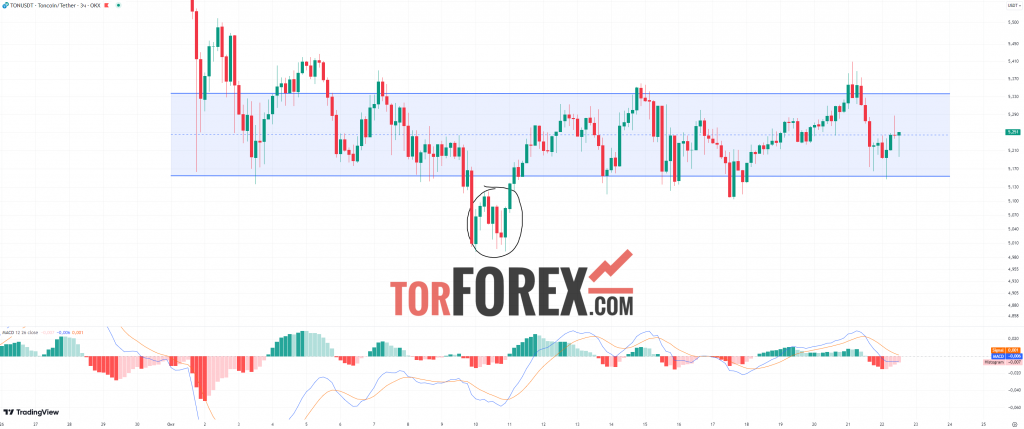 Toncoin прогноз TON/USD на 22 октября 2024