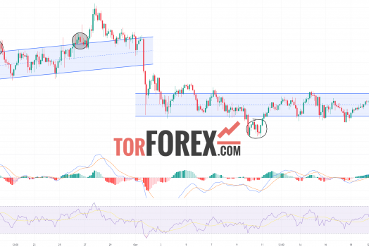 Toncoin прогноз TON/USD на 24 октября 2024