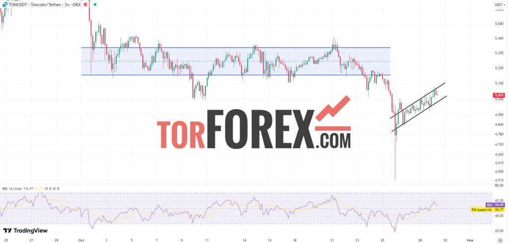 Toncoin прогноз TON/USD на 29 октября 2024