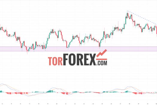 Toncoin прогноз TON/USD на 3 октября 2024