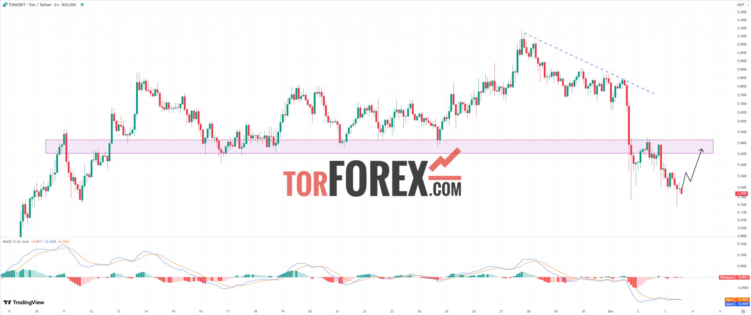 Toncoin прогноз TON/USD на 3 октября 2024