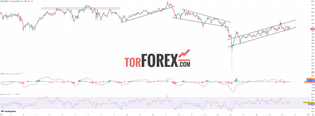 Toncoin прогноз TON/USD на 30 октября 2024