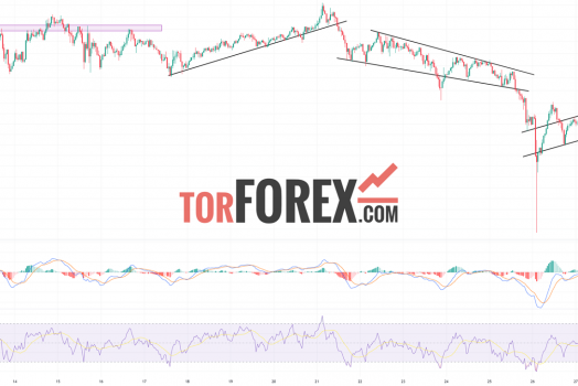 Toncoin прогноз TON/USD на 30 октября 2024