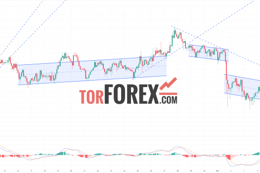 Toncoin прогноз TON/USD на 7 октября 2024