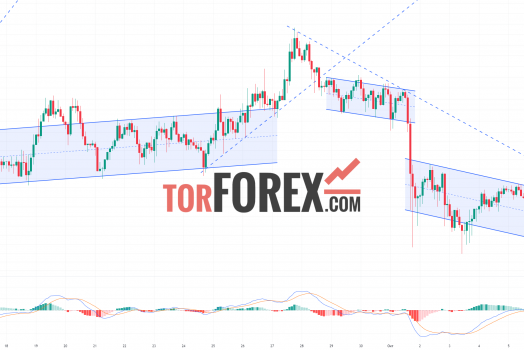 Toncoin прогноз TON/USD на 8 октября 2024