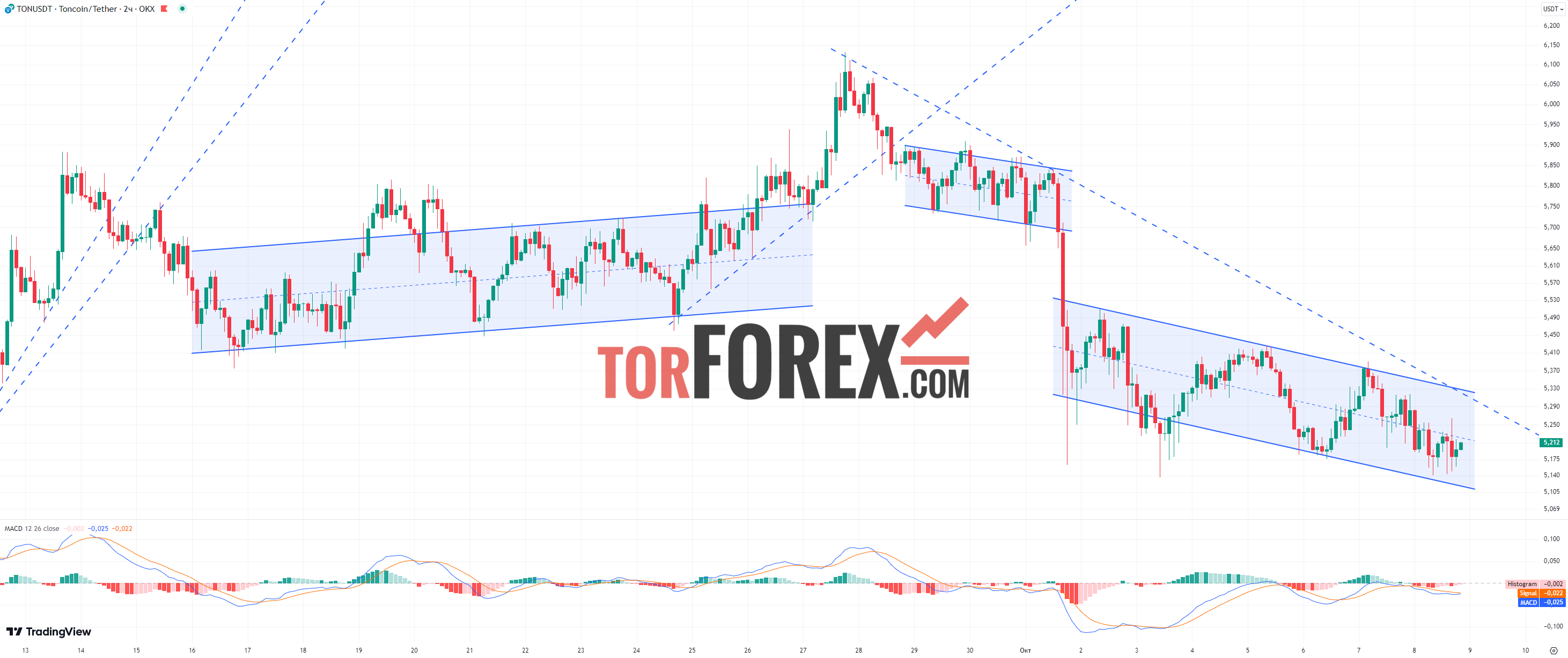 Toncoin прогноз TON/USD на 8 октября 2024