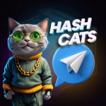 В Hashcats появился ответ по комбо карточкам на 17 октября