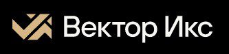 Vector X
