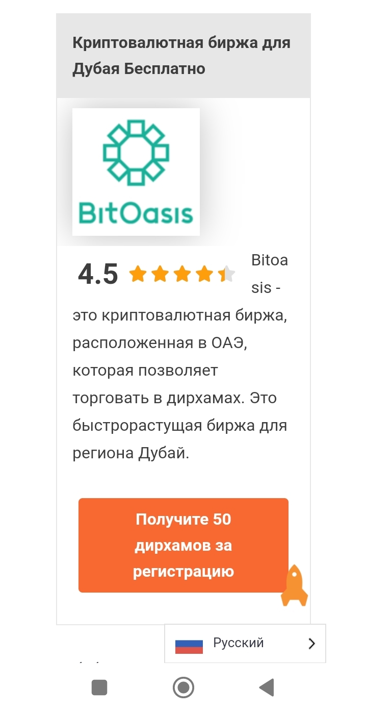 bitoasis