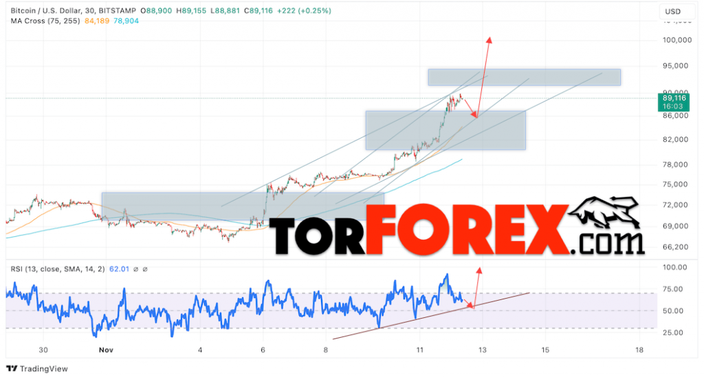 BTC/USD прогноз курса Биткоина на 13 ноября 2024