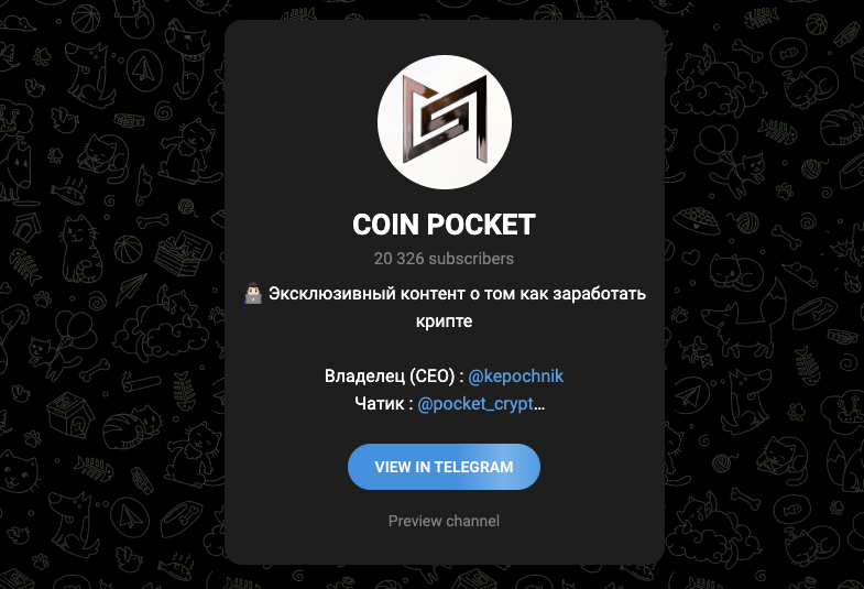 coin pocket