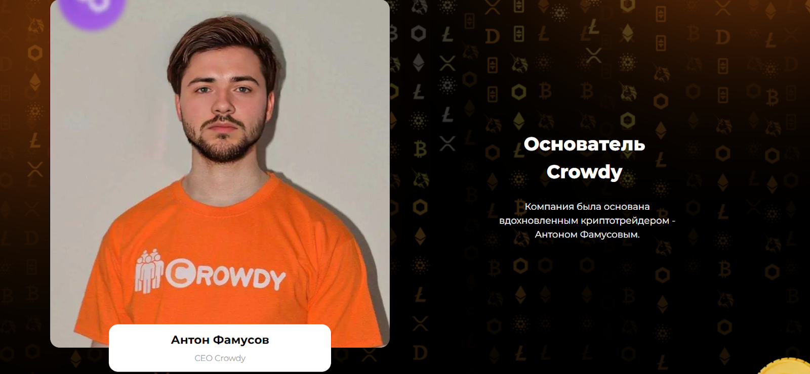 Crowdy отзывы