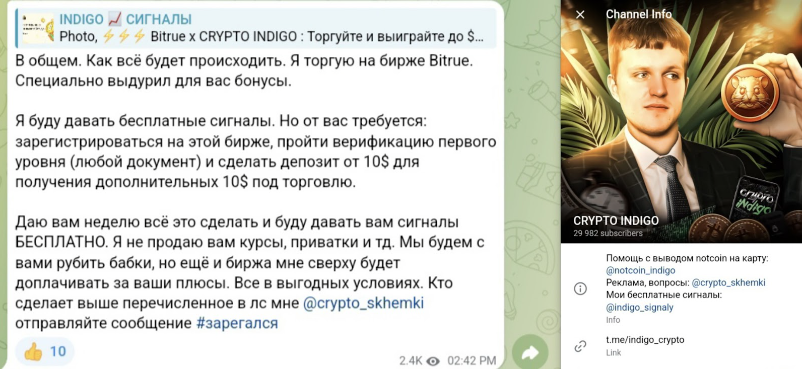 crypto indigo hamster kombat – трейдер