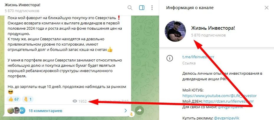 Обзор проекта Жизнь Инвестора