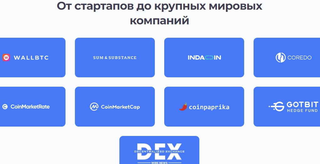 bitteam инфо