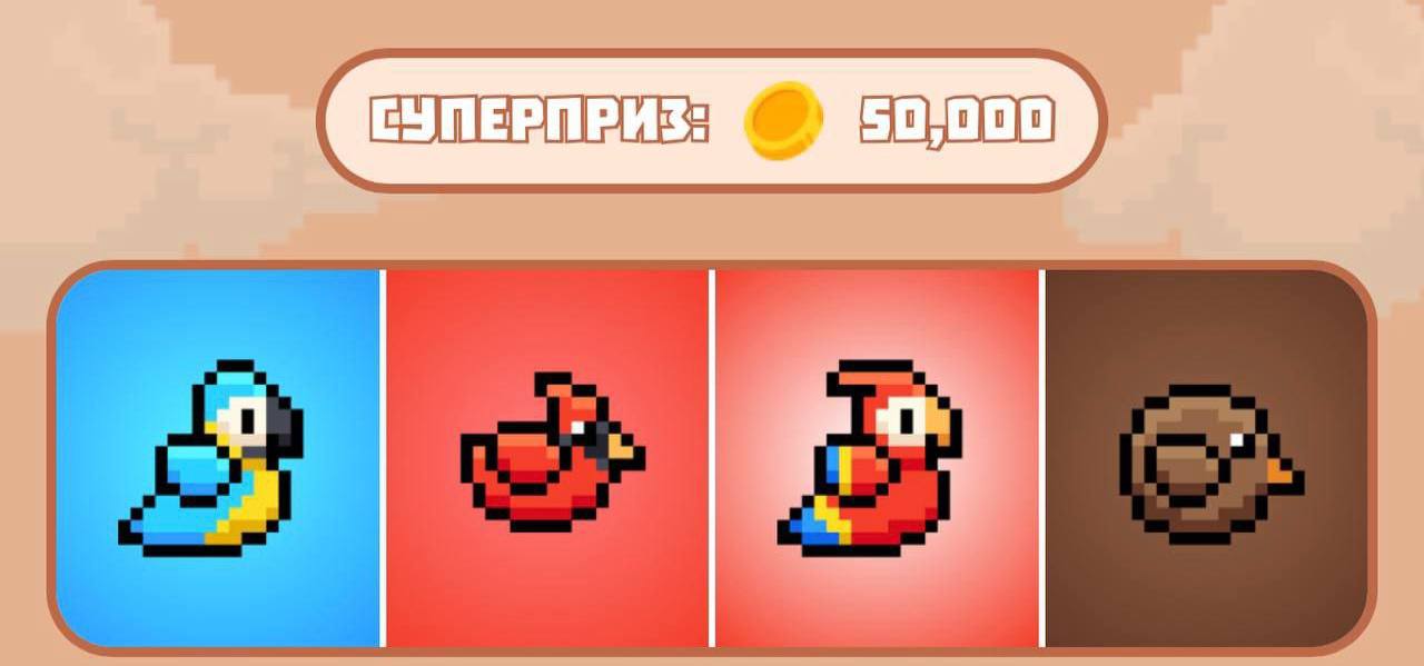 Комбо Bird Ton сегодня Комбо Bird Ton сегодня