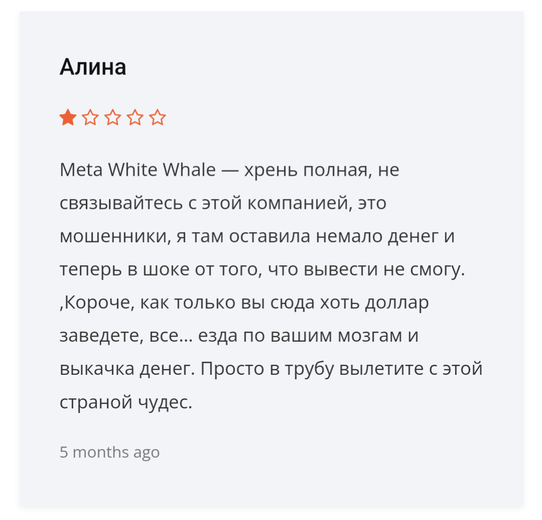 metawhitewhale отзывы