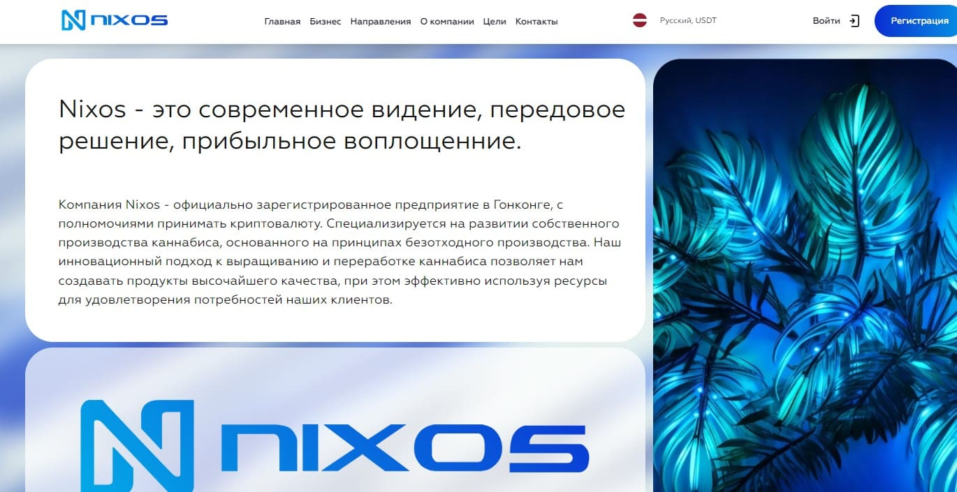 nixos group