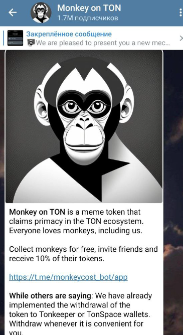 проект monkey в телеграмме