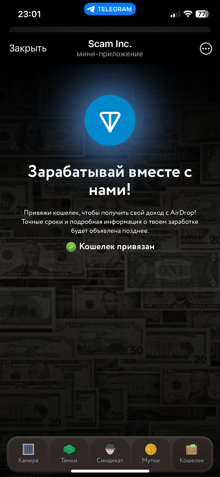 scam inc вывод