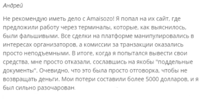ami sozo биржа