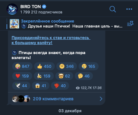 birdton новости