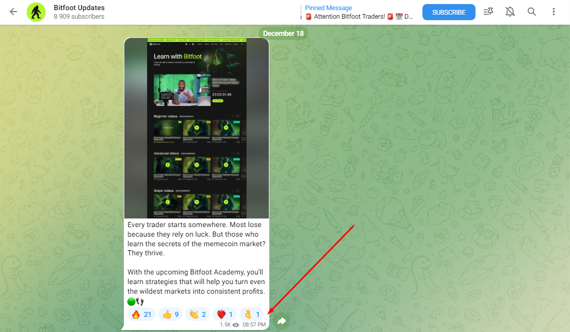 bitfoot bot