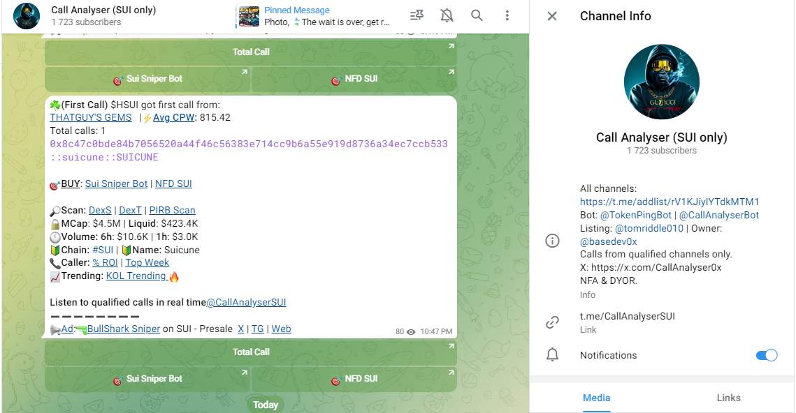 call analyser bot