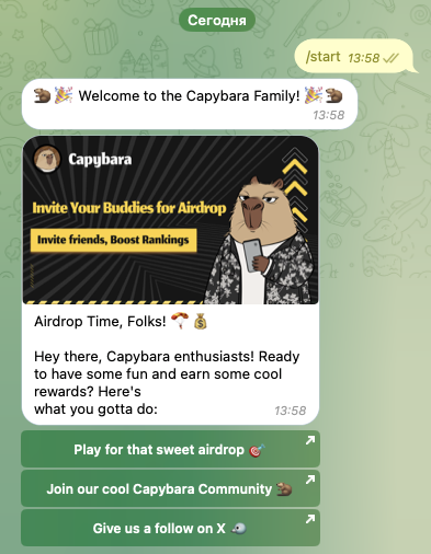 capybara meme телеграм