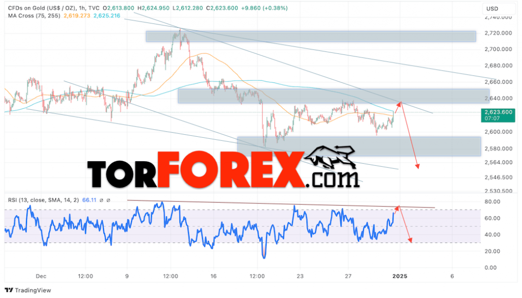 Цена Золота прогноз XAU/USD на 1 января 2025