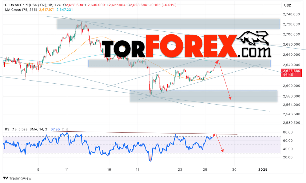 Цена Золота прогноз XAU/USD на 27 декабря 2024