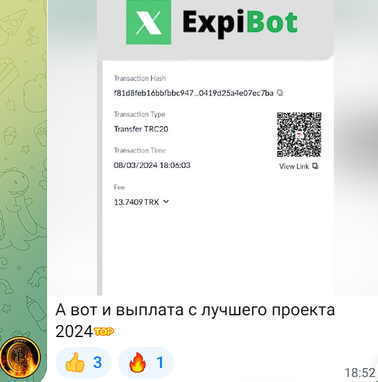 Epi bot скам