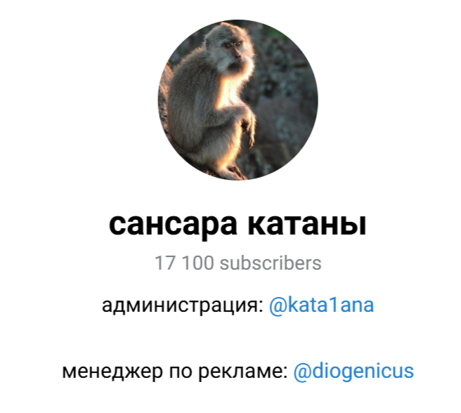 kata1ana отзывы