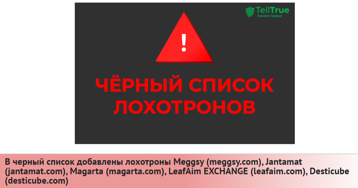 Меггси отзывы