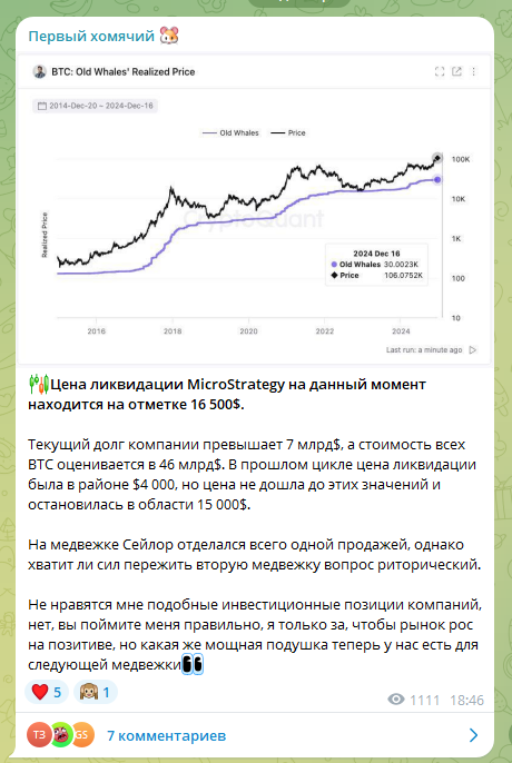 первый хомячий