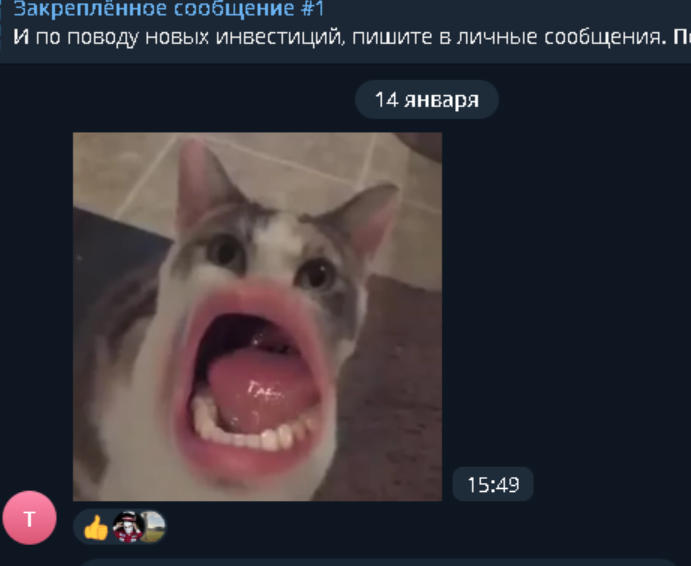 пул инвест декабрь