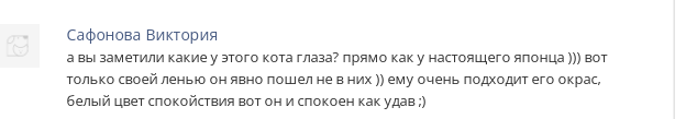 shironeko gg