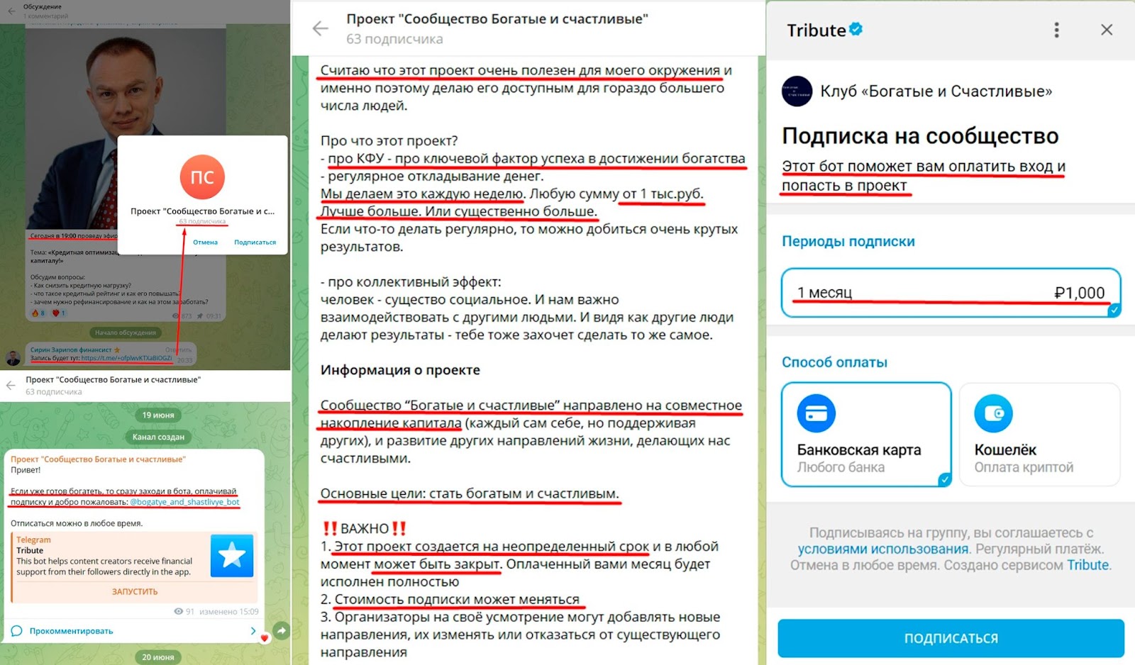 сирин зарипов