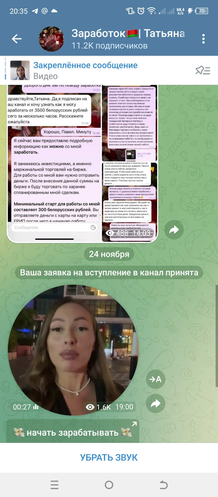 Татьяна Шинкевич заработок