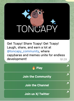 toncapy когда листинг
