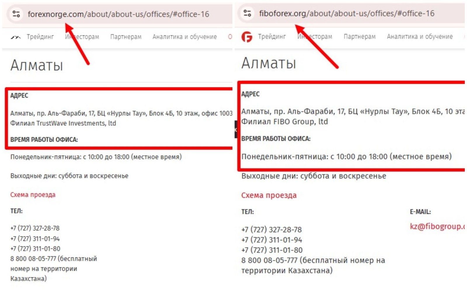 trust wave investments отзывы