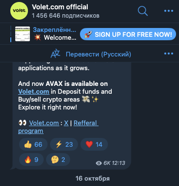 volet telegram лохотрон отзывы