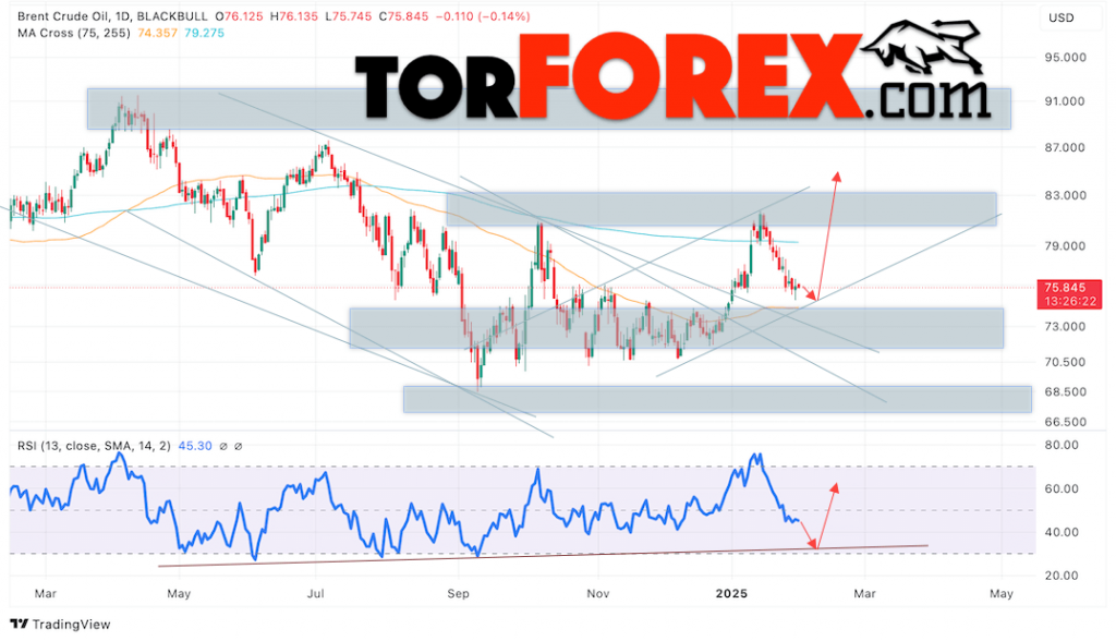 Brent прогноз нефти на 3 — 7 февраля 2025