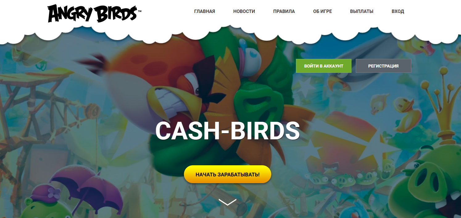 cash birds