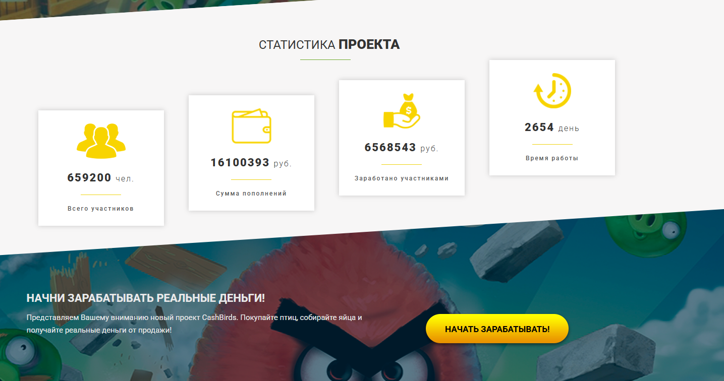 cashbirds