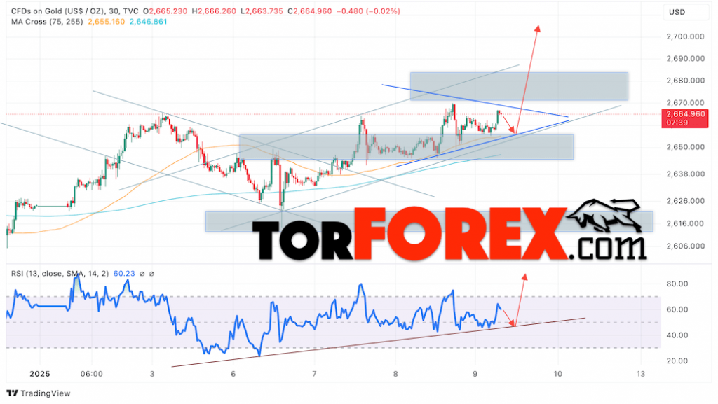 Цена Золота прогноз XAU/USD на 10 января 2025