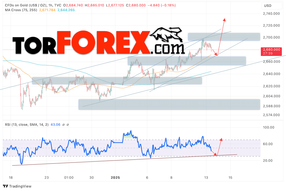 Цена Золота прогноз XAU/USD на 14 января 2025