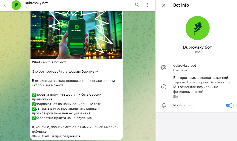 dubrovsky investing dubrovsky investing