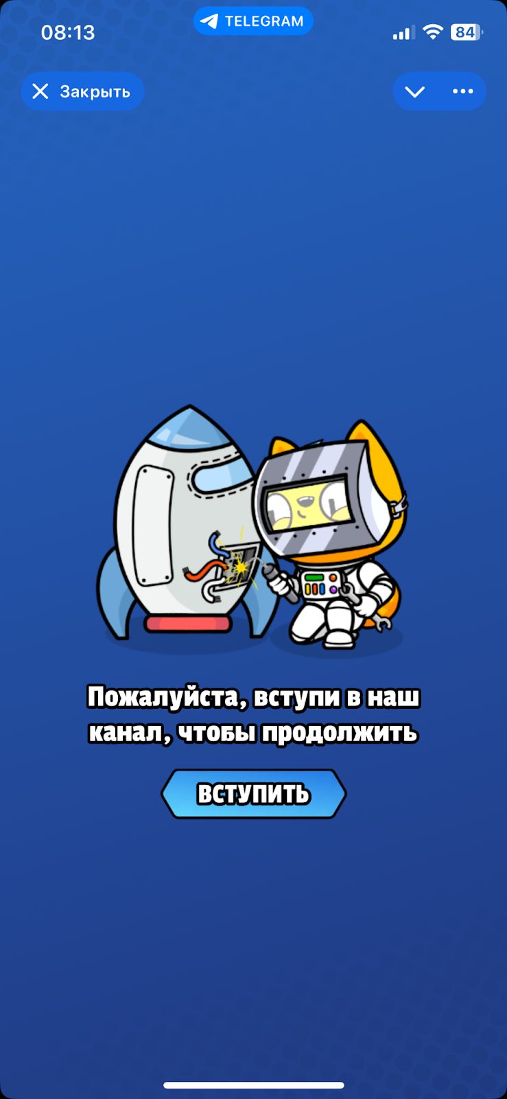 kitty verse обзор